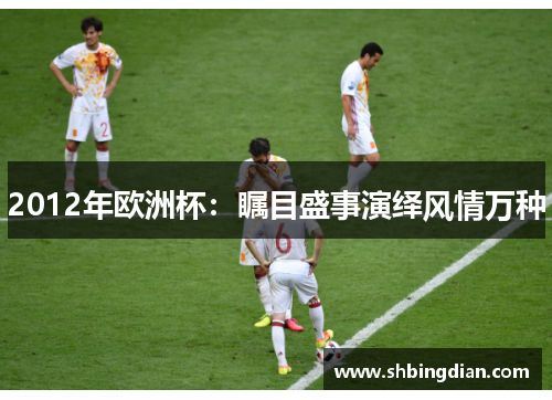 2012年欧洲杯：瞩目盛事演绎风情万种